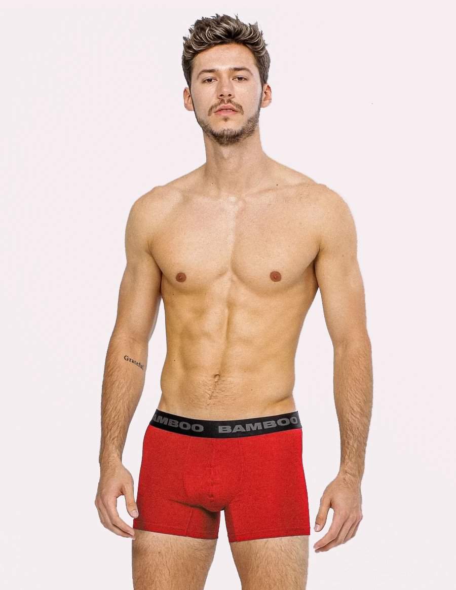Men Boxer 4" - Bamboo Underwear
