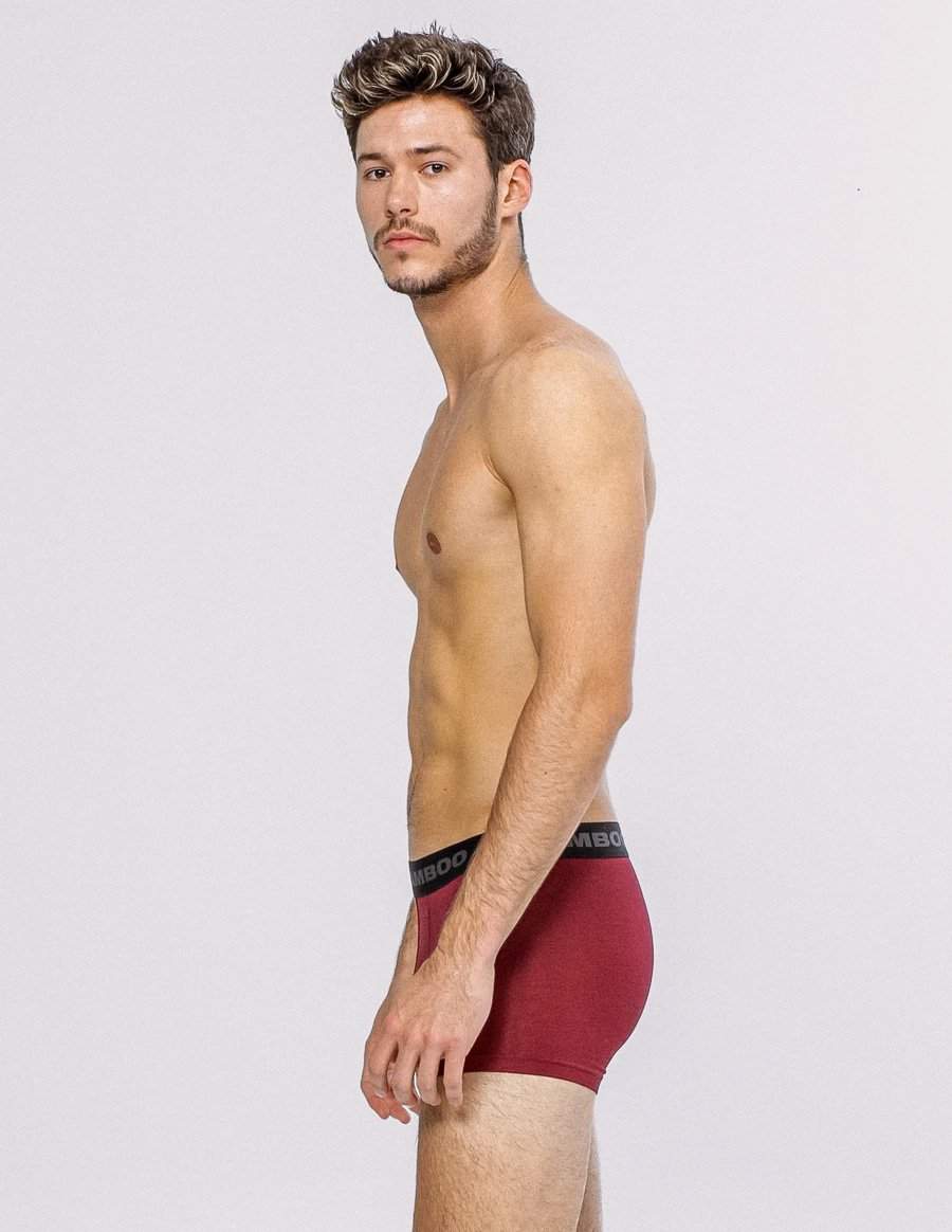 Men Boxer 4" - Bamboo Underwear