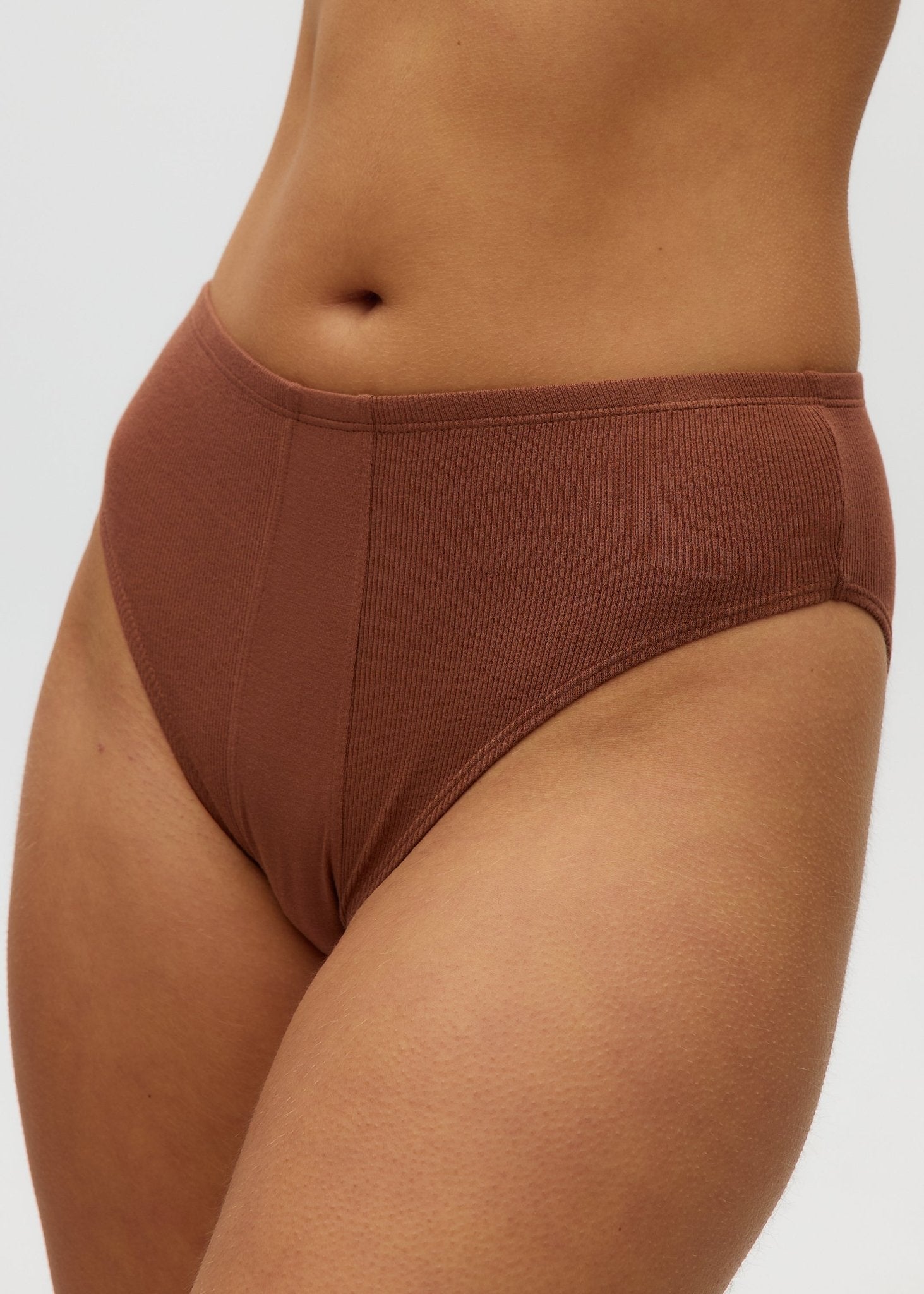 High Waisted Bikini - Bamboo Underwear