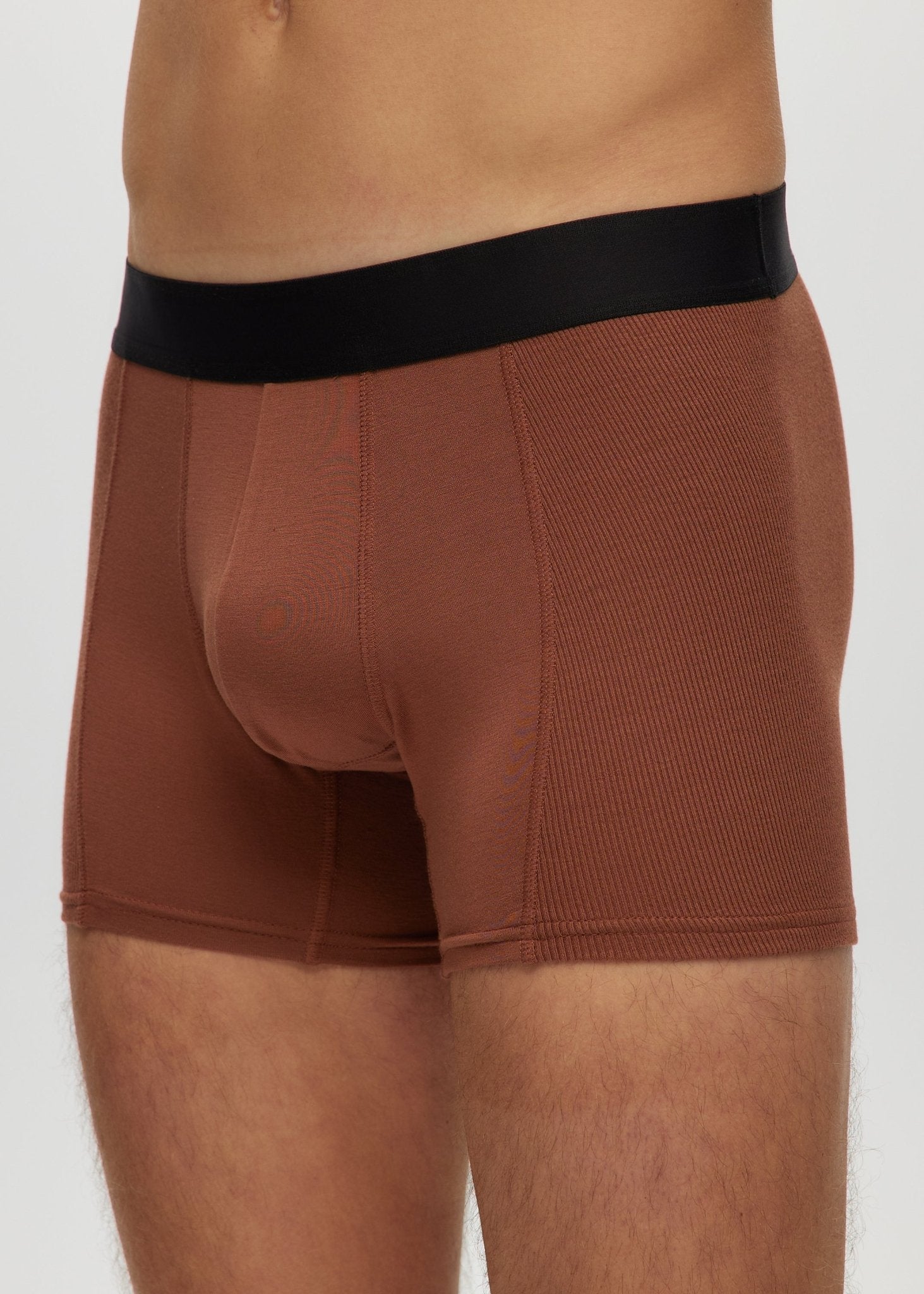 Mens 4" Boxer Briefs - Bamboo Underwear