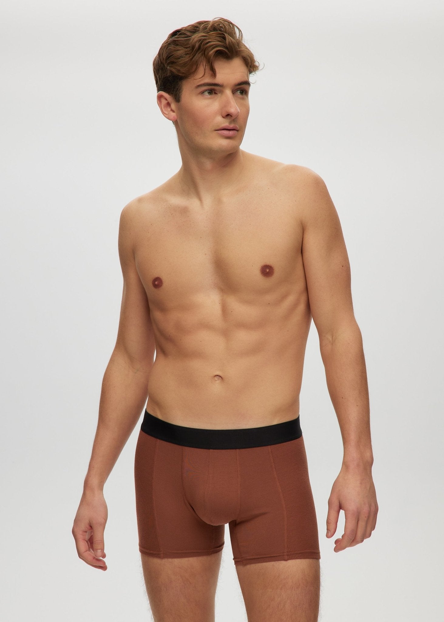 Mens 4" Boxer Briefs - Bamboo Underwear