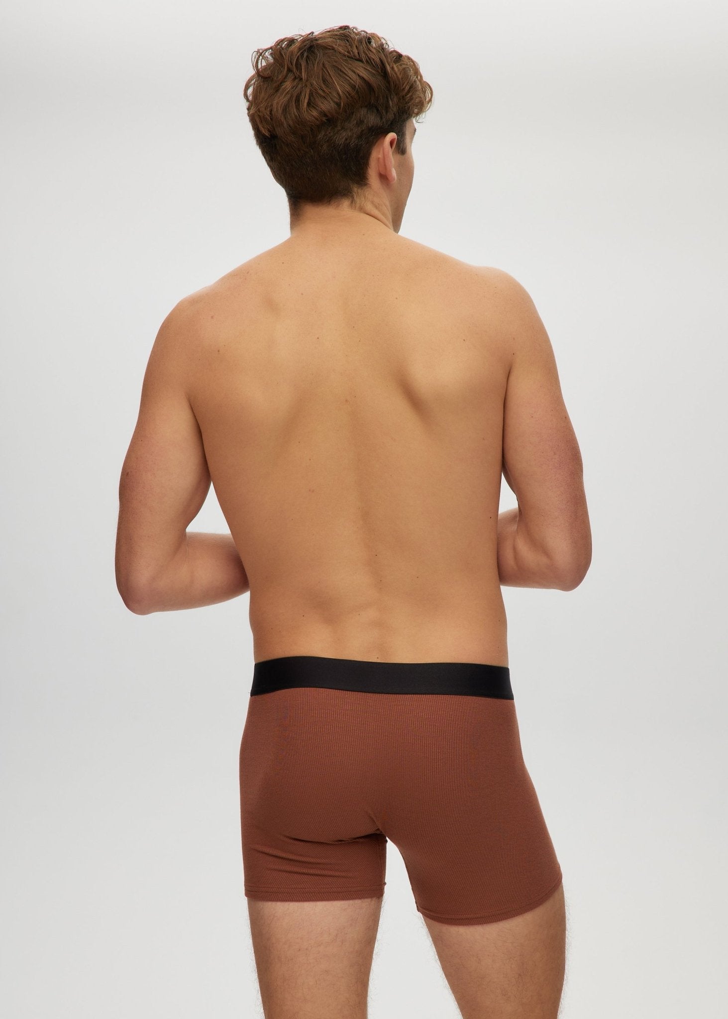 Mens 4" Boxer Briefs - Bamboo Underwear