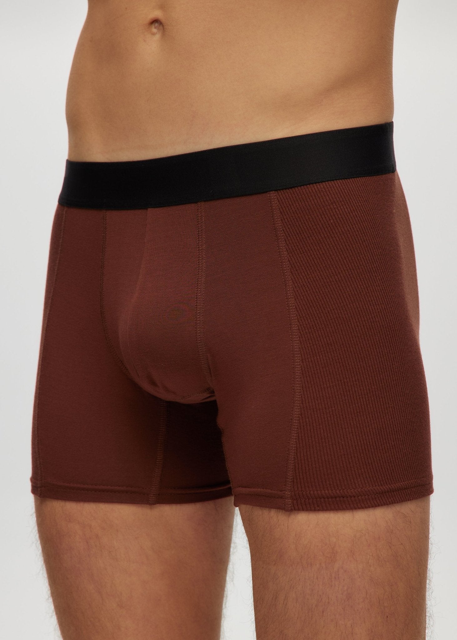 Mens 4" Boxer Briefs - Bamboo Underwear