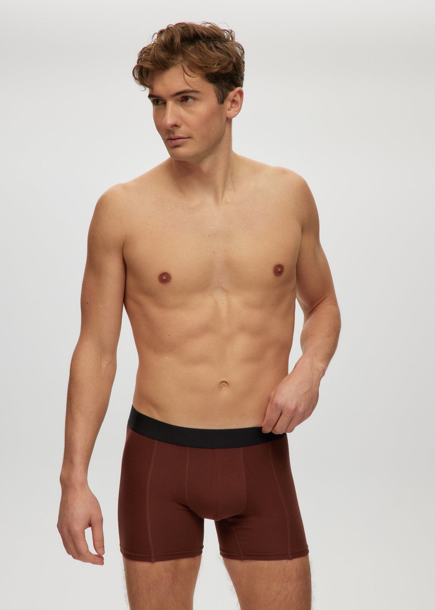 Mens 4" Boxer Briefs - Bamboo Underwear