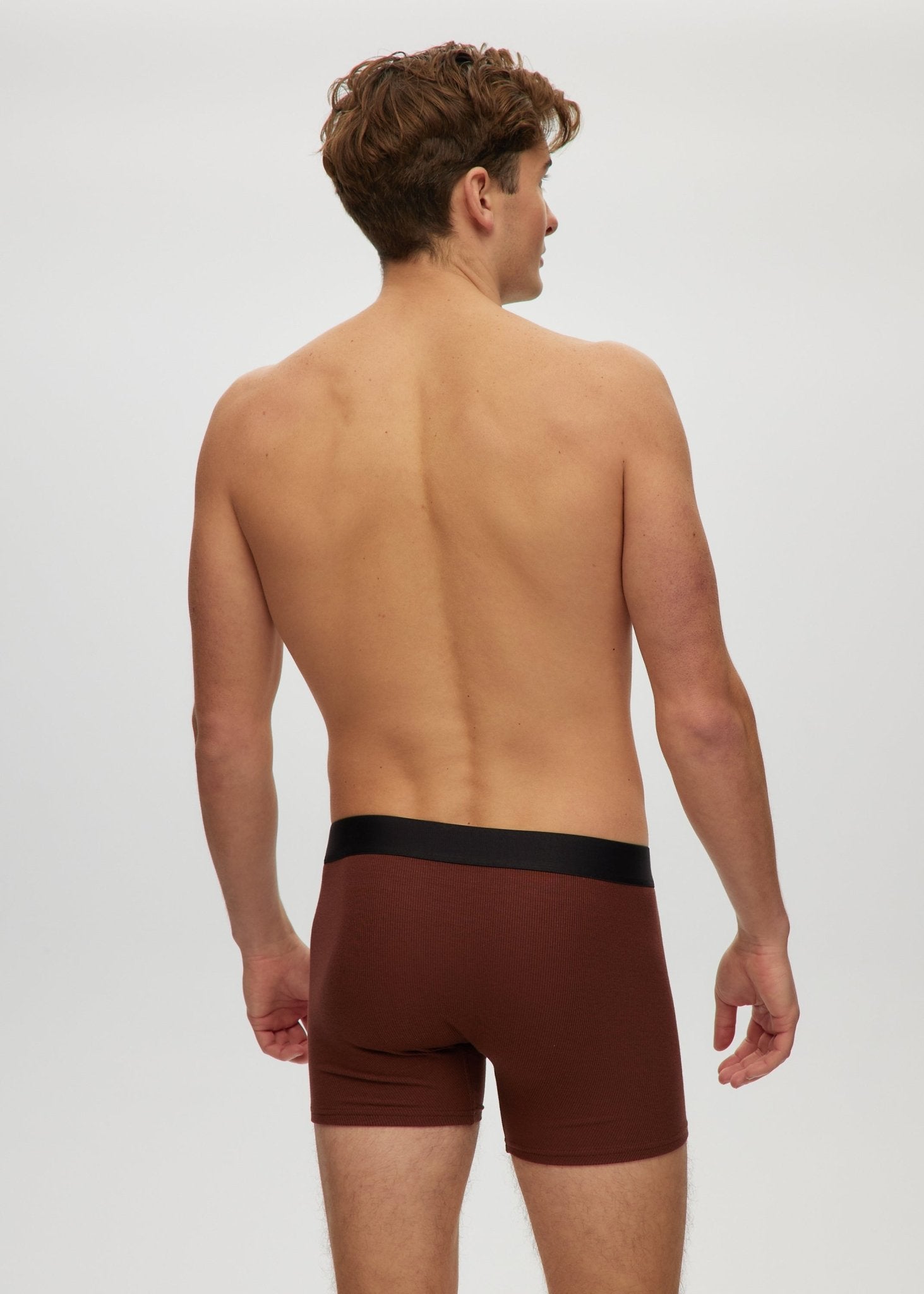 Mens 4" Boxer Briefs - Bamboo Underwear