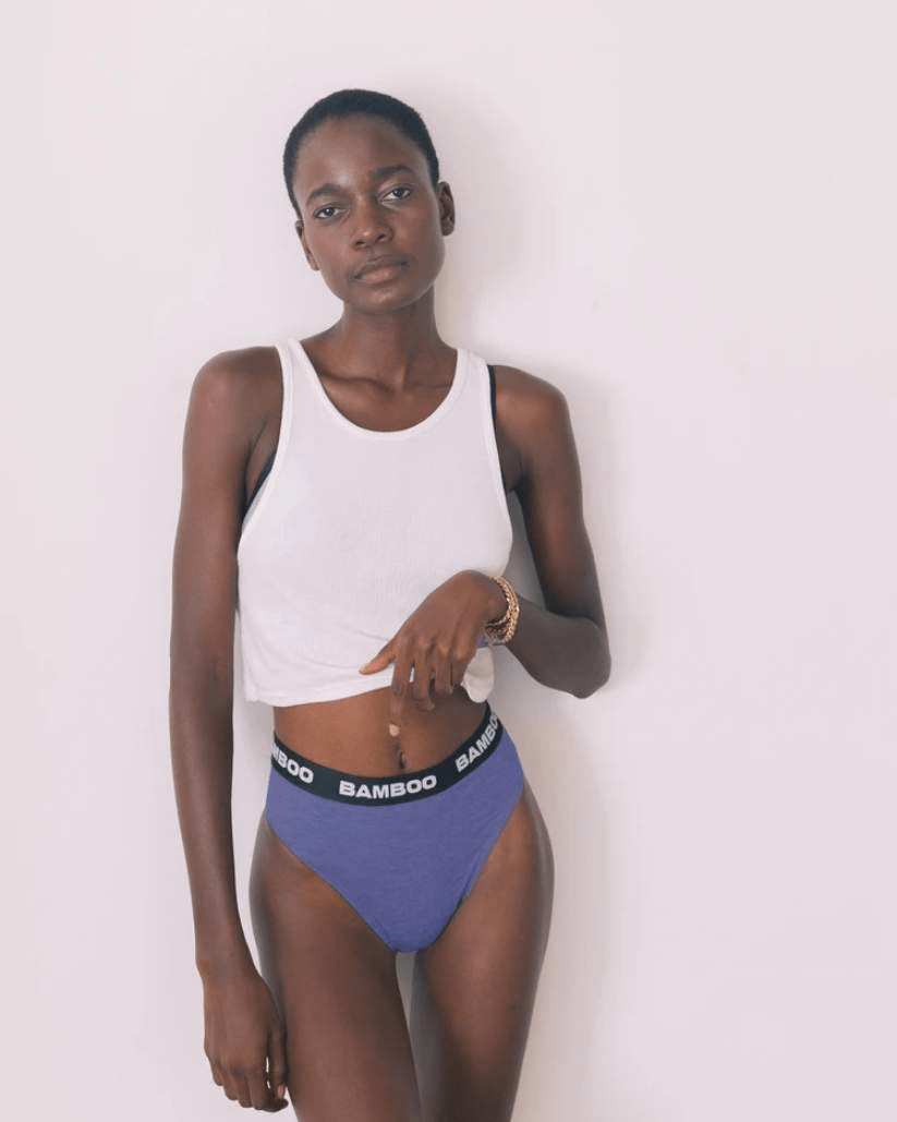 High Cut Bikini Brief - Bamboo Underwear